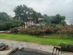 -铁山坪森林公园