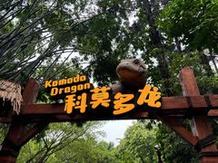 -广州长隆野生动物世界