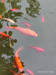 点击看大图 -莲生母婴月子中心(清水河公园店)