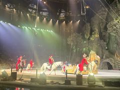 -广州长隆国际大马戏