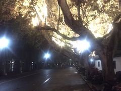 景观位-楼外楼(西湖景区孤山路店)