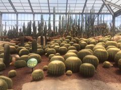 -南通洲际绿博园