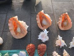 -青岛海滨风景区
