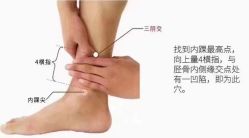 -香薇妮丝女子减肥院
