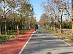 -上海长兴岛郊野公园