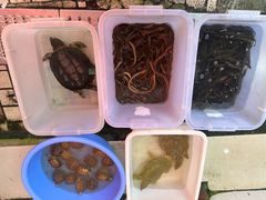 -西双版纳集贸市场