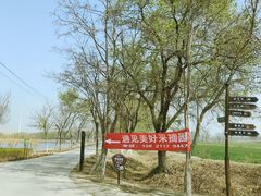 -西青郊野公园