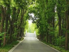 -同里国家湿地公园