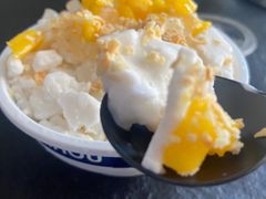 -豪叔椰冰(青春颂店)