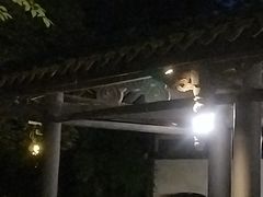 -王家渡火锅(三苏祠店)