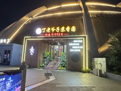 -丁老爷子苏香圆