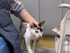 -美联众合动物医院·24h转诊中心