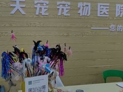-天宠宠物医院24小时·急重症诊疗中心·全科·腔镜特色(和平分院)
