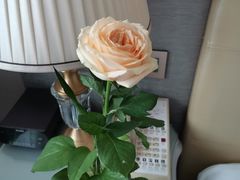 -上海安亭别墅花园酒店