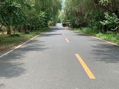 -同里国家湿地公园