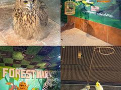 -萌宠奇缘(荣鼎店)