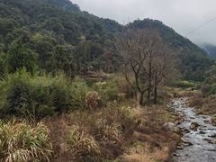 -雁荡山风景名胜区
