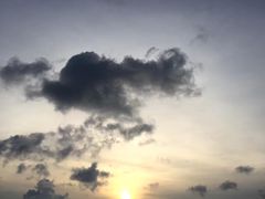 -贝壳沙滩