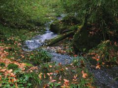 -龙苍沟森林公园