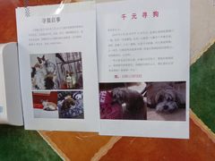 -北京佳信宠物医院