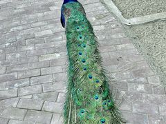 -水上乐园·欢乐世界