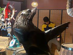 -哈尔滨波塞冬海底世界