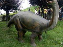 -自贡恐龙博物馆