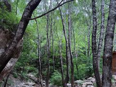 -驼梁风景区
