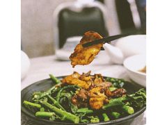 姜汁芥兰炒肥叉-粤·向群饭店(龙津东路总店)