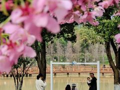 -凤凰沟景区