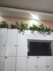 -香薇妮丝·定制减肥·身材管理