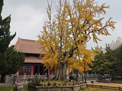 -苏州文庙(姑苏区)