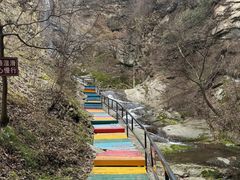 -少华山国家森林公园