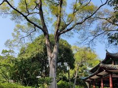 -柳侯公园