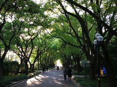 -西郊宾馆·1921餐厅