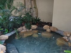 -林栖谷森林康养度假区
