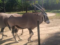 -大连森林动物园