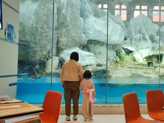 -帝企鹅自助餐厅•儿童岛•真企鹅(长隆企鹅酒店)