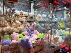 -汤姆熊欢乐世界(正大店)