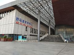 -野马渡文体中心游泳·健身