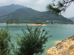 -广州市流溪河国家森林公园