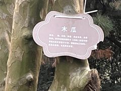 -合肥三国新城遗址公园