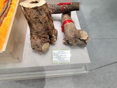 -北京中医药大学-中医药博物馆