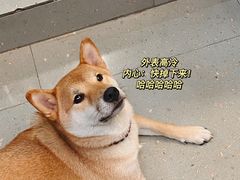 -柚下次·关东煮
