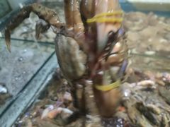 -87号烧烤海鲜·大排档(金沙滩店)