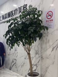 -上海漾颜医疗美容