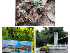 -圆通禅寺