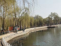 -黛秀湖公园
