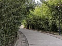-莲花池公园