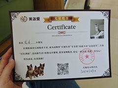 -美迦爱-牙专科·兔科·骨科诊疗中心(北苑店)
